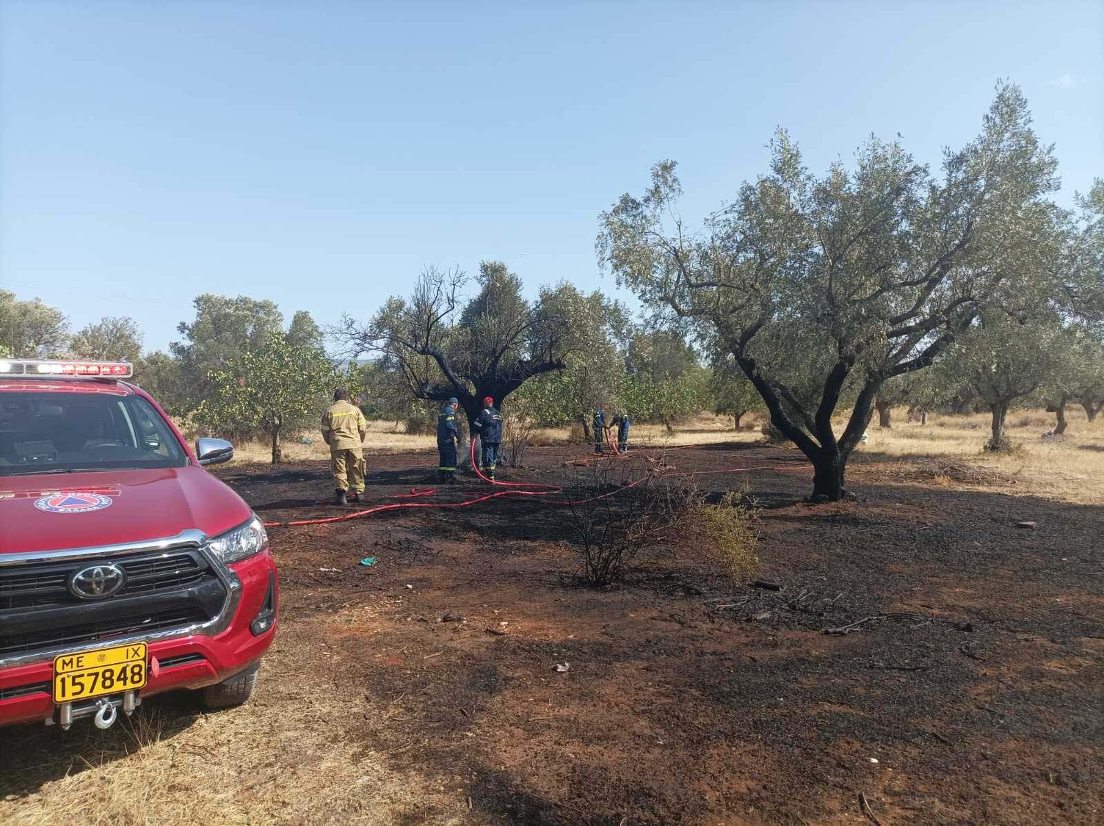 Δήμος Παιανίας: Αμεση κινητοποίηση της Πολιτικής Προστασίας για πυρκαγιά στο Κορωπί