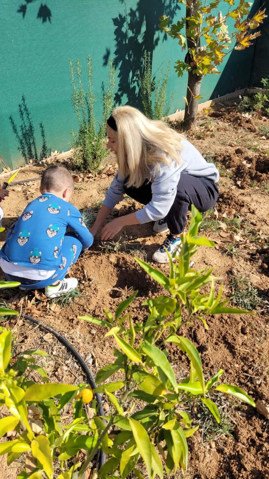 Δήμος Παιανίας: Η νέα γενιά αναλαμβάνει δράση υπέρ του περιβάλλοντος