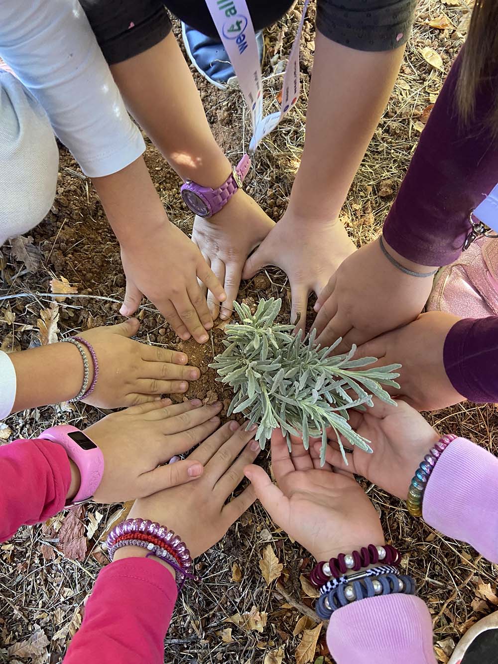 Δήμος Παιανίας: Η νέα γενιά αναλαμβάνει δράση υπέρ του περιβάλλοντος